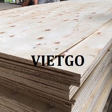 Cơ Hội Giao Thương - Đơn Hàng Thường Xuyên – Cơ Hội Xuất Khẩu Gỗ Dán Thương Mại Sang Thị Trường Ấn Độ.