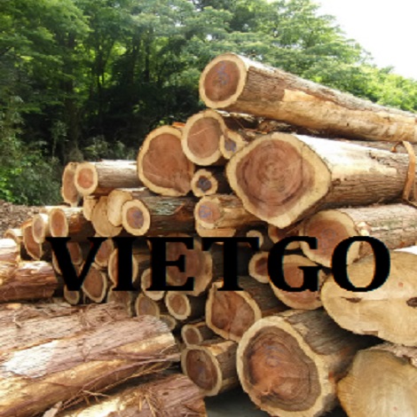 Cơ Hội Giao Thương - Đơn Hàng Thường Xuyên – Cơ Hội Xuất Khẩu Gỗ Teak Tròn Sang Thị Trường Ấn Độ.