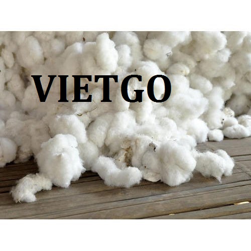 Cơ hội giao thương – Đơn hàng cả năm - Cơ hội xuất khẩu bông vải thô sang thị trường Bangladesh