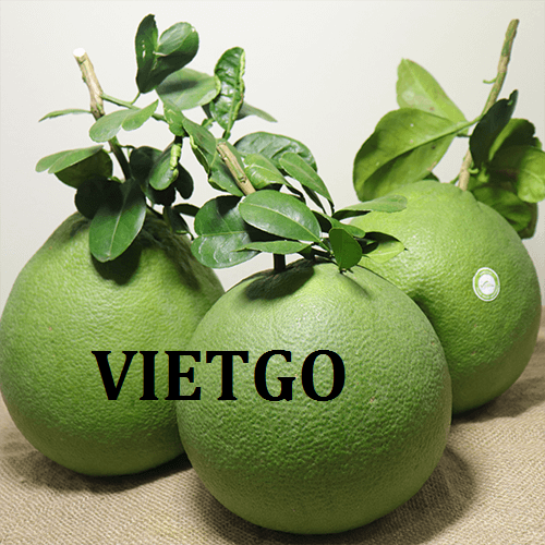 Cơ hội giao thương  - Đơn Hàng Thường Xuyên -  Cơ hội xuất khẩu Quả Bưởi sang thị trường Nga