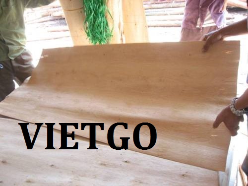 Cơ Hội Giao Thương – Đơn Hàng Thường Xuyên - Cơ Hội Xuất Khẩu Ván Bóc Gỗ Keo Sang Thị Trường Trung Quốc.