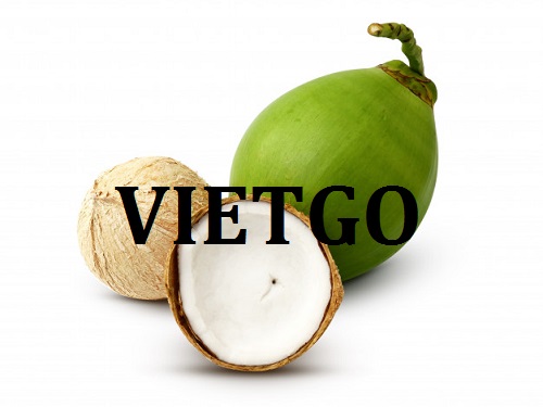 Cơ hội giao thương - Đơn Hàng Thường Xuyên -  Cơ hội xuất khẩu Dừa Tươi sang thị trường Nhật Bản