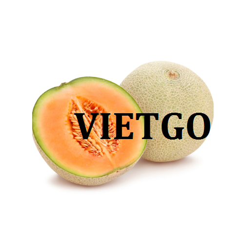 Cơ hội giao thương - Đơn Hàng Thường Xuyên -  Cơ hội xuất khẩu Dưa Lưới sang thị trường Nhật Bản