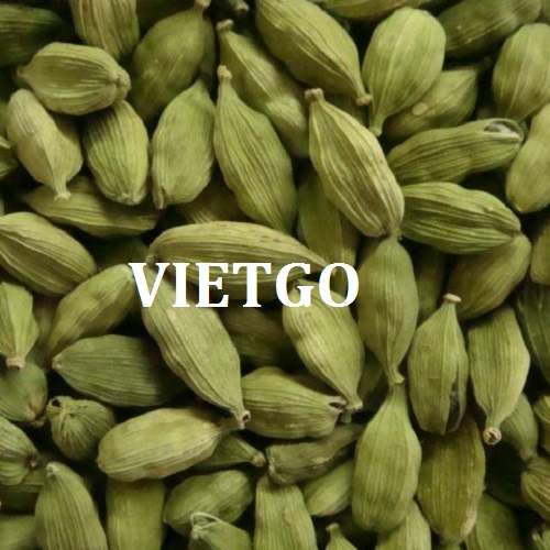 Cơ hội giao thương - Đơn hàng thường xuyên – Cơ hội xuất khẩu Thảo quả sang thị trường Dubai