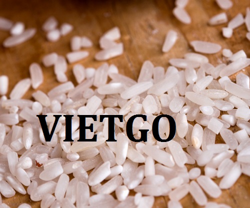 Cơ hội giao thương - Cơ hội xuất khẩu Gạo Nhài sang thị trường Congo đến từ vị khách hàng người Anh