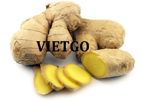 Cơ hội giao thương– Cơ hội xuất khẩu Gừng tươi sang thị trường Bangladesh.