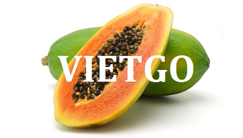 Cơ hội giao thương  - Đơn Hàng Thường Xuyên -  Cơ hội xuất khẩu Quả Đu Đủ sang thị trường Nga