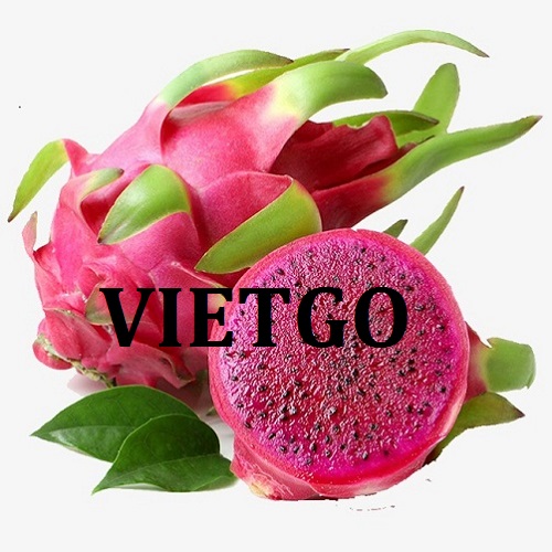 Cơ hội giao thương  - Đơn Hàng Hàng Tháng -  Cơ hội xuất khẩu Thanh Long sang thị trường Bangladesh