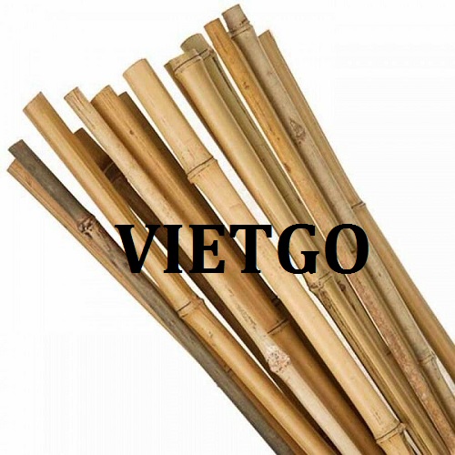Cơ hội giao thương – Đơn hàng thường xuyên – Cơ hội xuất khẩu Gậy tre cho thương nhân người Thổ Nhỹ Kỳ