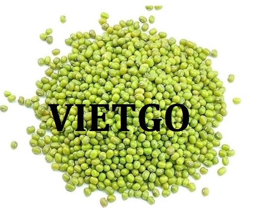 Cơ hội giao thương  - Đơn Hàng Thường Xuyên -  Cơ hội xuất khẩu Đỗ Xanh sang thị trường Trung Quốc