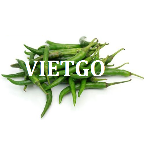 Cơ hội giao thương  - Đơn Hàng Thường Xuyên -  Cơ hội xuất khẩu Ớt Xanh sang thị trường UAE