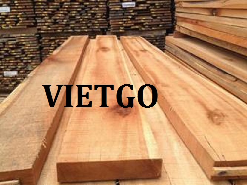 Cơ Hội Giao Thương - Đơn Hàng Thường Xuyên – Cơ Hội Xuất Khẩu Gỗ Bạch Đàn Xẻ Sang Thị Trường Curaçao.