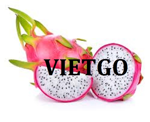 Cơ hội giao thương – Đơn hàng Hàng tuần - Cơ hội xuất khẩu thanh long đến thị trường UAE.