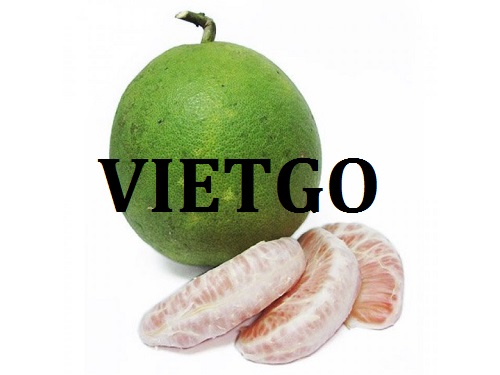 Cơ hội giao thương – Đơn hàng Hàng tuần - Cơ hội xuất khẩu Bưởi đến thị trường UAE.