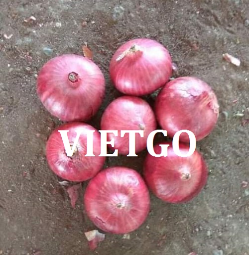Cơ hội giao thương Đặc Biệt  - Đơn Hàng Hàng Tháng -  Cơ hội xuất khẩu Hành Tây sang thị trường Bangladesh