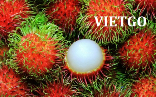 Cơ hội giao thương – Đơn hàng Hàng tuần - Cơ hội xuất khẩu Chôm chôm đến thị trường UAE.