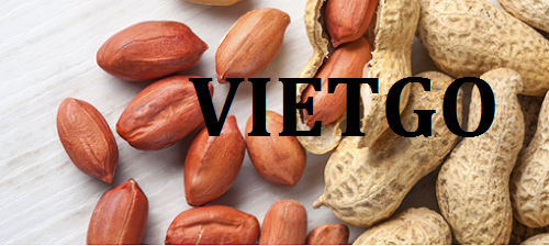 Cơ hội giao thương  - Đơn Hàng Hàng Tháng -  Cơ hội xuất khẩu Lạc Nhân sang thị trường Trung Quốc