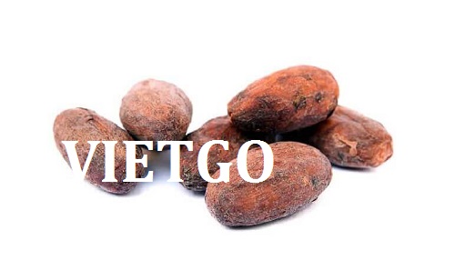 Cơ hội giao thương  - Đơn Hàng Thường Xuyên -  Cơ hội xuất khẩu Cacao sang thị trường Ấn Độ