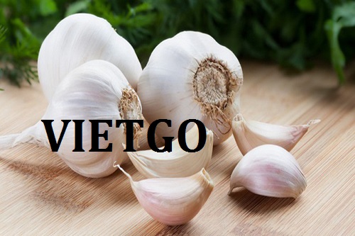 Cơ hội giao thương – Đơn hàng Hàng tuần - Cơ hội xuất khẩu Tỏi trắng đến thị trường UAE.