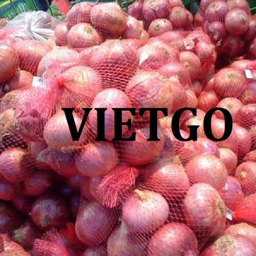 Cơ hội giao thương – Cơ hội xuất khẩu 1 container Hành Tím sang thị trường Ấn Độ.