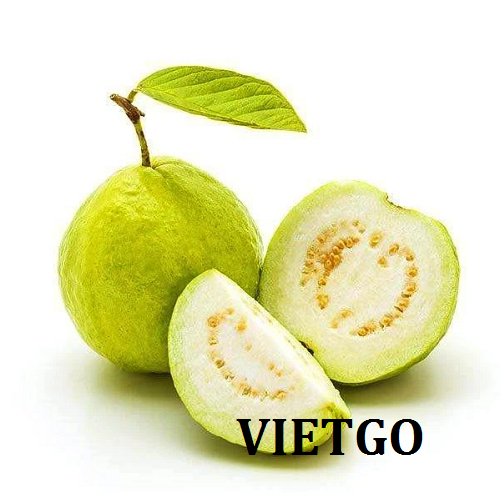 Cơ hội giao thương  - Đơn Hàng Thường Xuyên -  Cơ hội xuất khẩu Quả Ổi sang thị trường UAE