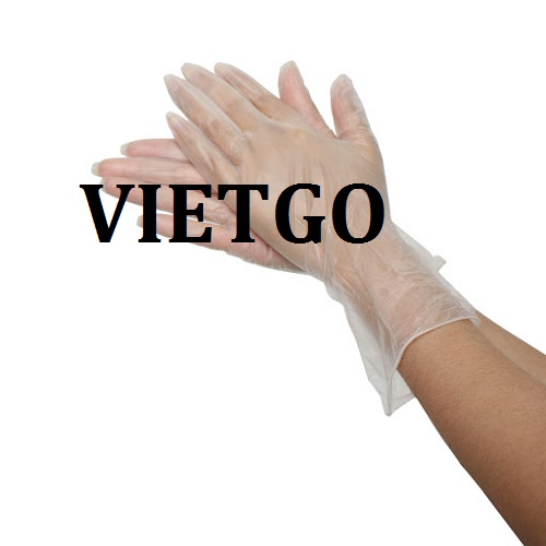 Cơ hội giao thương – Đơn hàng thường xuyên – Cơ hội cung cấp găng tay sang thị trường Ả Rập Saudi