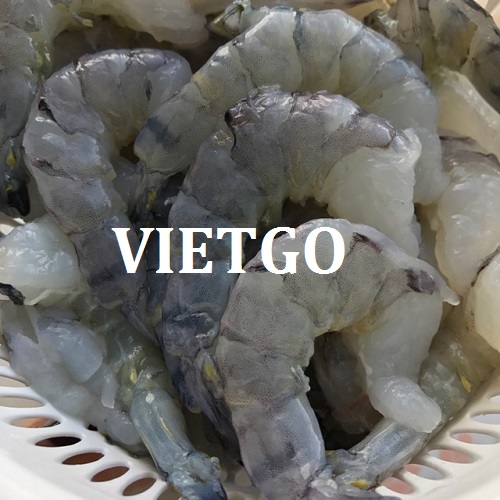 Cơ hội giao thương – Đơn hàng Thường xuyên - Cơ hội xuất khẩu Tôm thẻ chân trắng sang thị trường Ai Cập