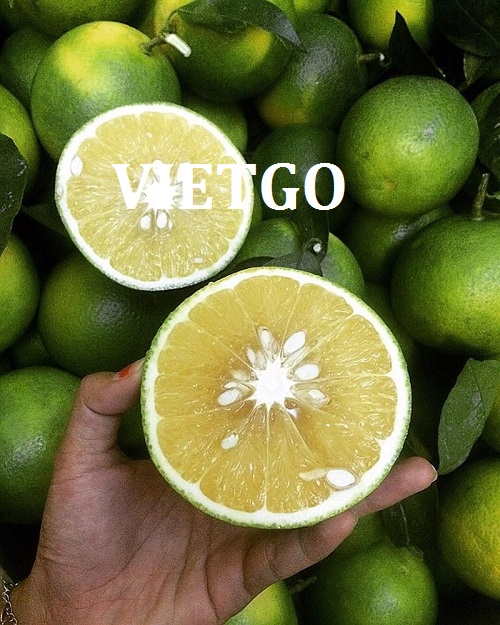Cơ hội giao thương – Đơn hàng Thường xuyên - Cơ hội xuất khẩu Cam Vàng sang thị trường Bangladesh
