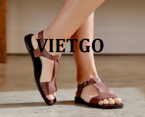 Cơ hội giao thương -  Đơn hàng thường xuyên - Cơ hội xuất khẩu sản phẩm sandal nữ thời trang đến thị trường Ấn Độ