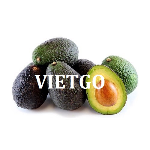 (Gấp) Cơ hội giao thương  - Đơn Hàng Cả Năm -  Cơ hội xuất khẩu 50 tấn Bơ sang thị trường Cameroon