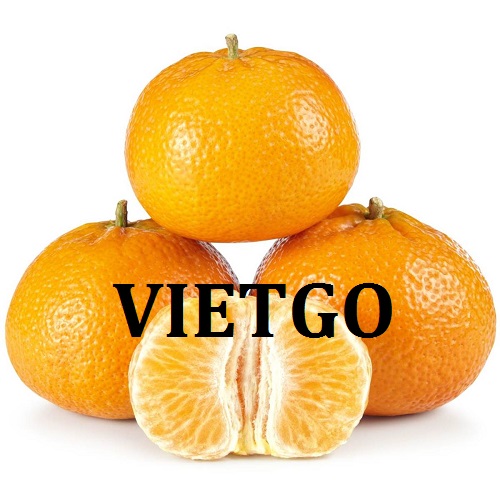 Cơ hội giao thương  - Đơn Hàng Thường Xuyên -  Cơ hội xuất khẩu Quả Quýt sang thị trường Nga