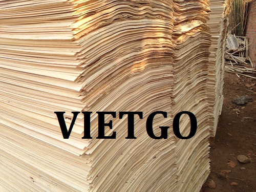 (Gấp) Cơ Hội Giao Thương - Đơn Hàng Thường Xuyên – Cơ Hội Xuất Khẩu Ván Bóc Cao Su Sang Thị Trường Trung Quốc.