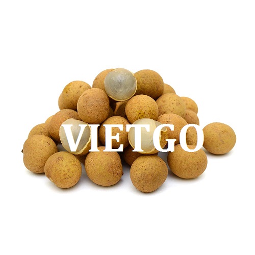 Cơ hội giao thương  - Đơn Hàng Hàng Tháng -  Cơ hội xuất khẩu Quả Nhãn sang thị trường Ấn Độ