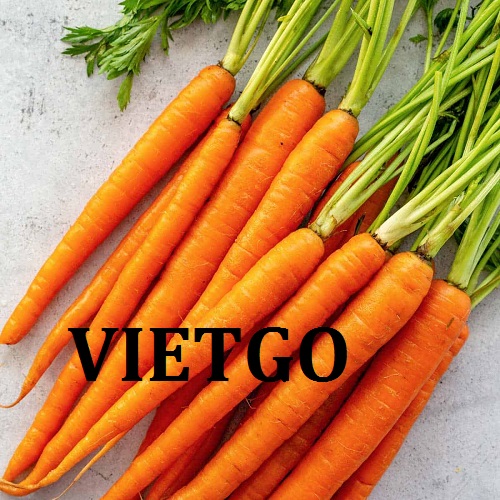 Cơ hội giao thương Đặc biệt  - Đơn Hàng Hàng Tháng -  Cơ hội xuất khẩu Cà Rốt cho một doanh nghiệp đến từ UAE đã từng có kinh nghiệm nhập khẩu tại Việt Nam.
