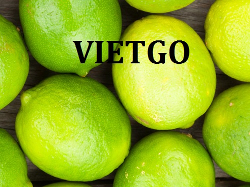 Cơ hội giao thương Đặc biệt  - Đơn Hàng Hàng Tháng -  Cơ hội xuất khẩu Chanh Xanh cho một doanh nghiệp đến từ UAE đã từng có kinh nghiệm nhập khẩu tại Việt Nam.
