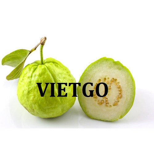 Cơ hội giao thương Đặc biệt  - Đơn Hàng Hàng Tháng -  Cơ hội xuất khẩu Quả Ổi cho một doanh nghiệp đến từ UAE đã từng có kinh nghiệm nhập khẩu tại Việt Nam.