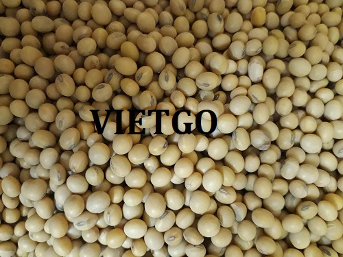 Cơ hội giao thương - Cơ hội cung cấp Đậu Nành sang thị trường Ấn Độ