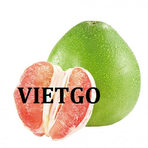 Cơ hội giao thương  - Đơn Hàng Thường Xuyên - Cơ hội xuất khẩu Bưởi đóng hộp sang thị trường Malaysia