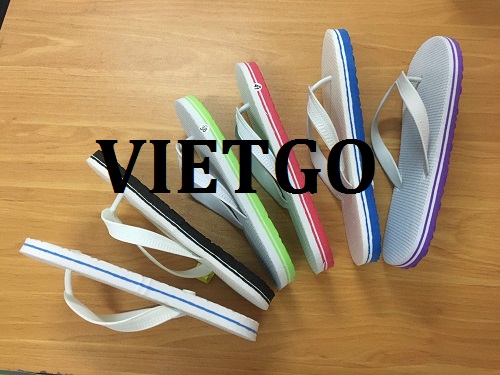 Cơ hội giao thương -  Đơn hàng hàng tháng - Cơ hội xuất khẩu sản phẩm dép xỏ ngón đến thị trường Togo