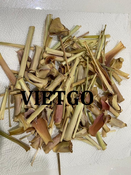 Cơ hội giao thương  - Đơn Hàng Thường Xuyên - Cơ hội xuất khẩu Sả Sấy Khô sang thị trường Malaysia