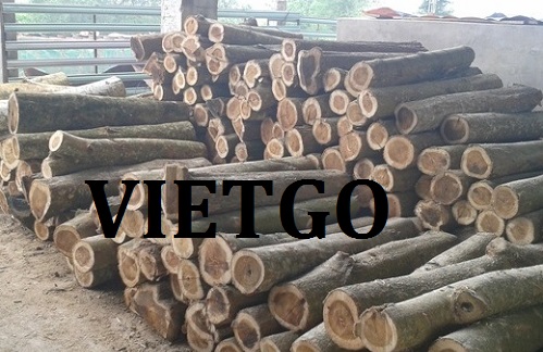 Cơ Hội Giao Thương - Đơn Hàng Thường Xuyên – Cơ Hội Xuất Khẩu Gỗ Keo Tròn Sang Thị Trường Ấn Độ.