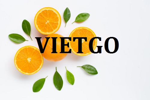 ( Gấp ) Cơ hội giao thương  - Đơn Hàng Cả Năm -  Cơ hội xuất khẩu Cam Vàng sang thị trường Cameroon