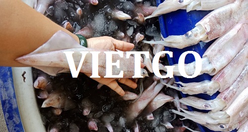 Cơ hội giao thương – Đơn hàng thường xuyên – Cơ hội xuất khẩu Mực sang thị trường Malaysia