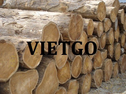 Cơ Hội Giao Thương - Đơn hàng thường xuyên – Cơ Hội Xuất Khẩu Gỗ Teak Tròn Sang Thị Trường Ấn Độ.