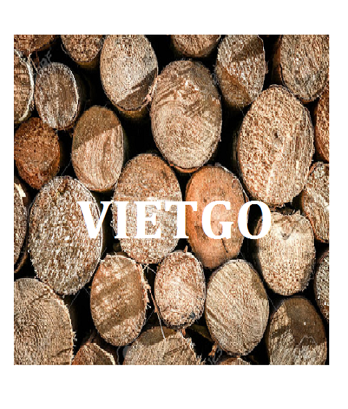 Cơ Hội Giao Thương - Đơn hàng thường xuyên – Cơ Hội Xuất Khẩu Gỗ Teak Tròn Sang Thị Trường Ấn Độ.