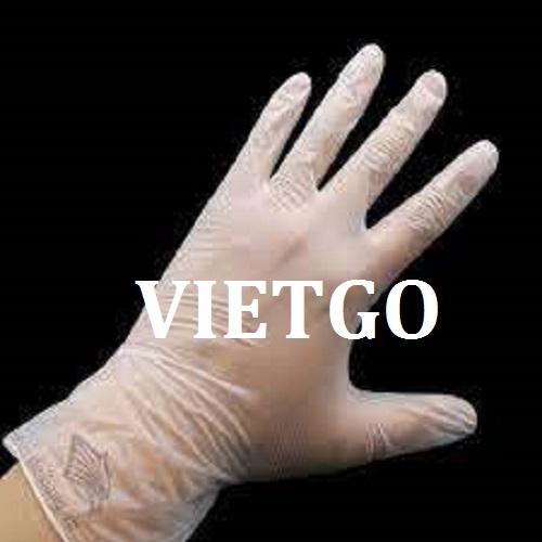 Cơ hội giao thương – Đơn hàng cả năm - Cơ hội cung cấp găng tay cao su cho một doanh nghiệp tại Thượng Hải