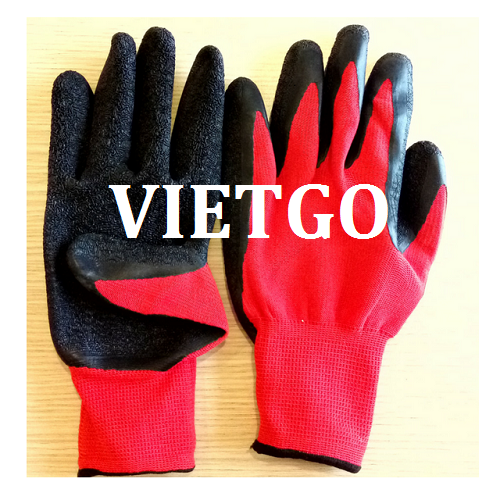 Cơ hội giao thương – Đơn hàng thường xuyên - Cơ hội xuất khẩu găng tay lao động sang thị trường Maroc