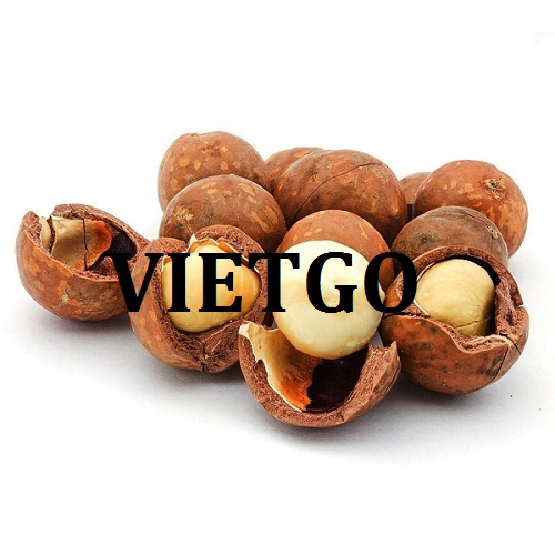 ( Gấp ) Cơ hội giao thương  - Đơn Hàng Thường Xuyên -  Cơ hội xuất khẩu hạt Macca sang thị trường Mỹ