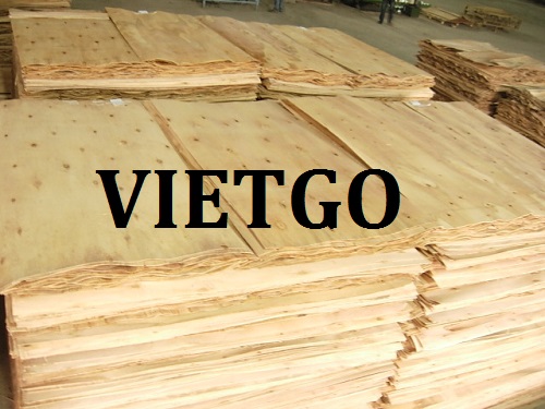 Cơ Hội Giao Thương Đặc Biệt - Đơn Hàng Thường Xuyên – Cơ Hội Xuất Khẩu Ván Bóc Cao Su Sang Thị Trường Trung Quốc.