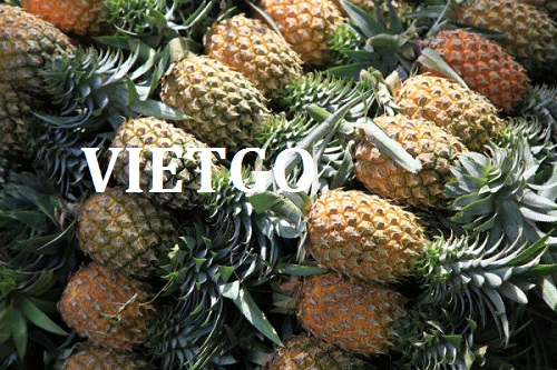 Cơ hội giao thương – Đơn hàng thường xuyên – Cơ hội xuất khẩu Quả Dứa sang thị trường Tây Ban Nha.